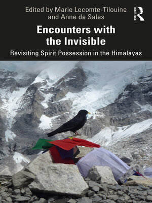 cover image of Encounters with the Invisible